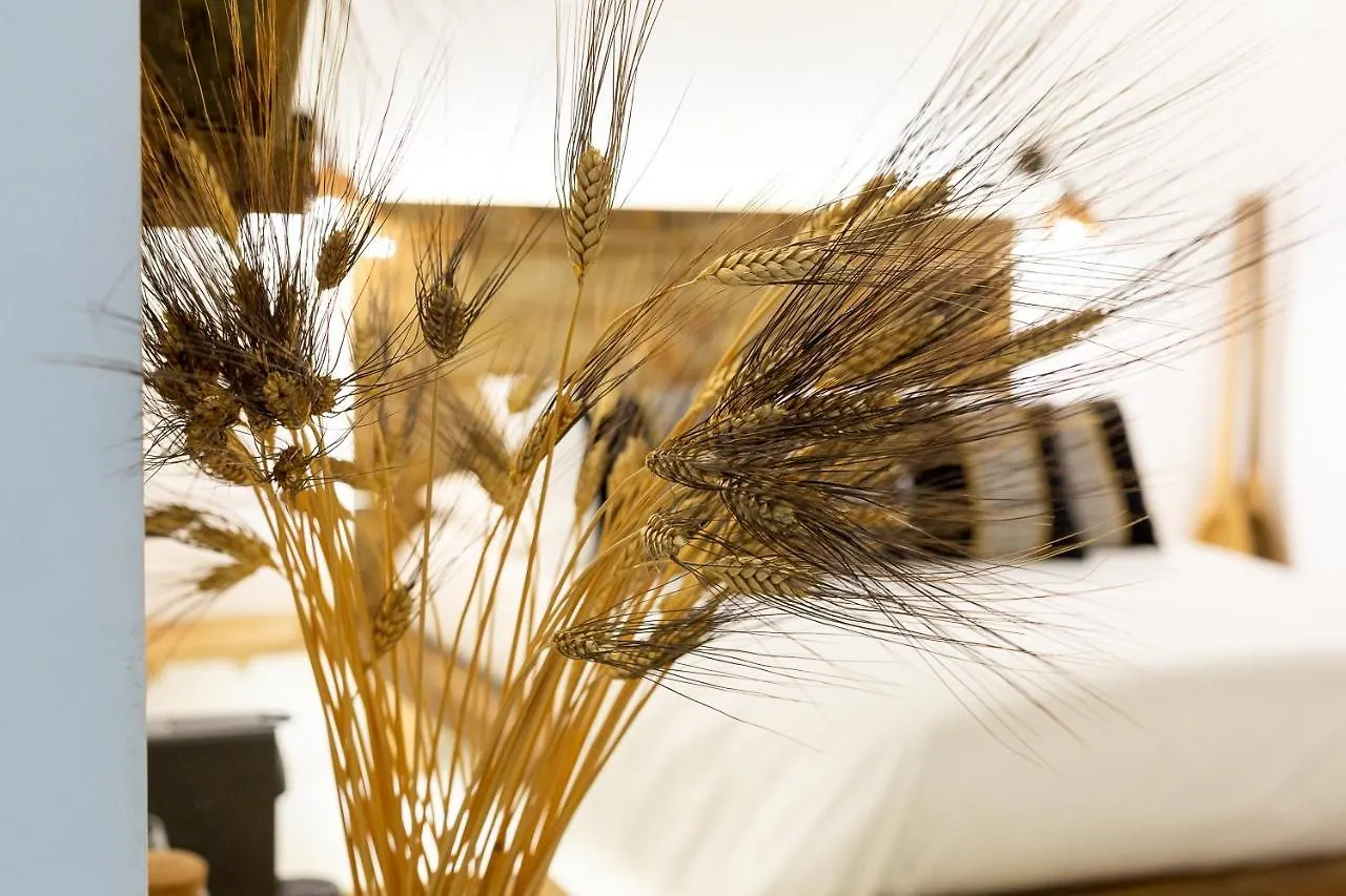 Crobi Museum And Suites Cagliari Bed & Breakfast